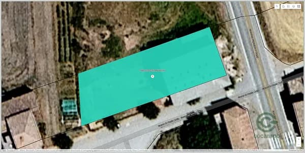 Spot image