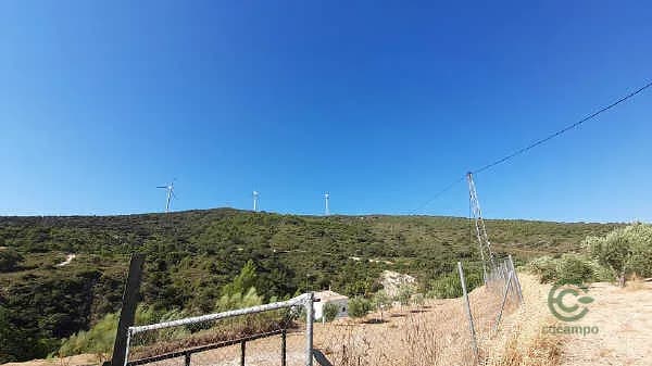 Finca rústica de 0,5 ha en venta en Osuna, Sevilla