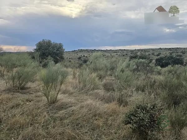 Finca rústica de 550 ha en venta en Cáceres