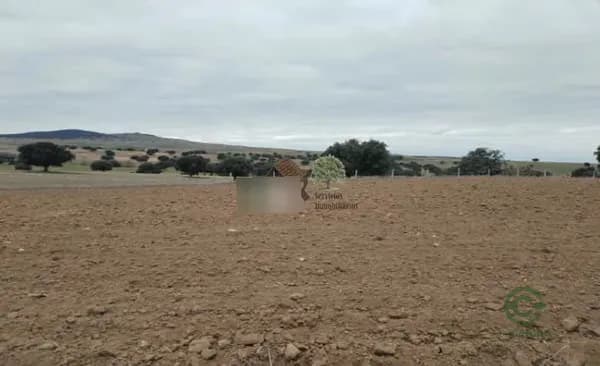 Finca rústica de 435 ha en venta en Ávila