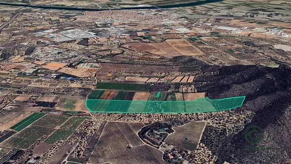 Finca agrícola de 21,7534 ha en venta en Amposta, Tarragona