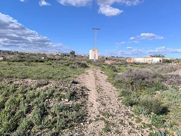 Spot image