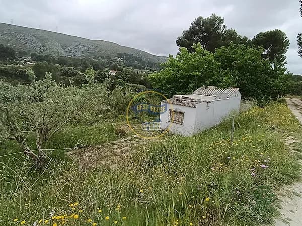 Spot image