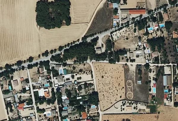 Spot image