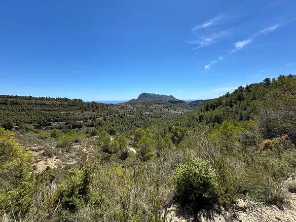 Agricultural property of 2,26 ha for sale in Alicante