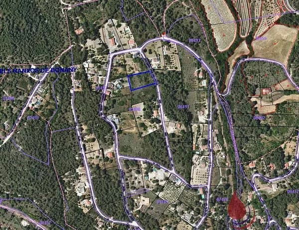 Spot image
