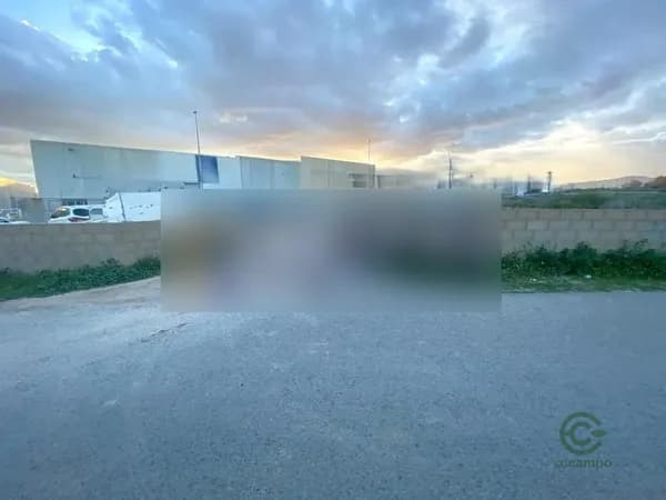 Spot image