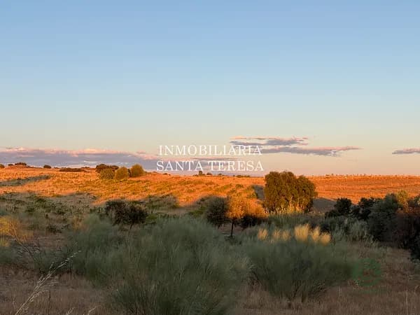 Finca rústica de 5,5 ha en venta en Toledo