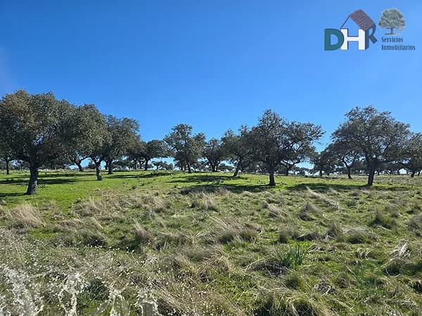 Finca rústica de 454 ha en venta en Cáceres