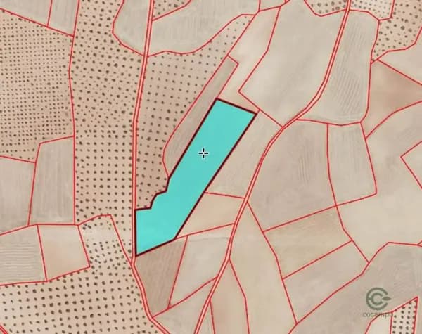 Finca agrícola de 1,73 ha en venta en Santa cruz de mudela, Ciudad real