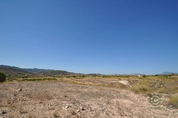 Spot image