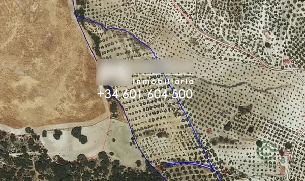 Finca rústica de 8,8676 ha en venta en Pruna, Sevilla