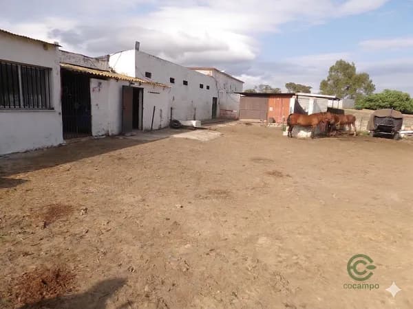 Spot image