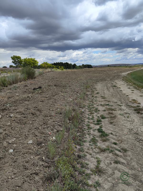 Finca agrícola de 1,25 ha en venta en Madrid