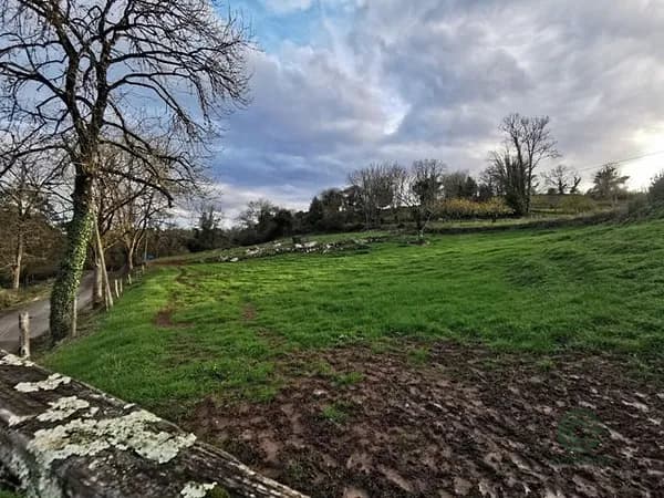Finca agrícola de 0,38 ha en venta en Oviedo, Asturias