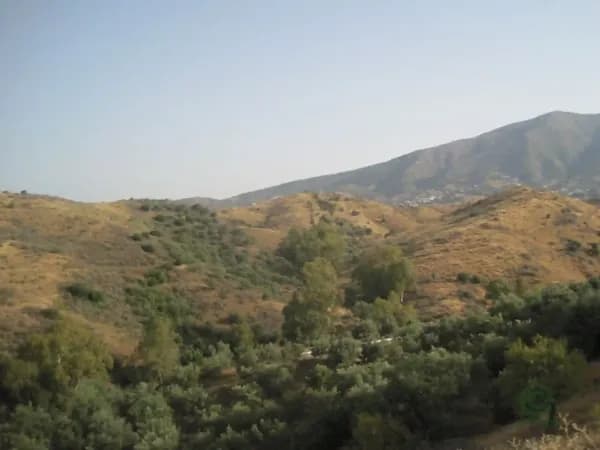 Finca agrícola de 6,04 ha en alquiler en Mijas, Malaga