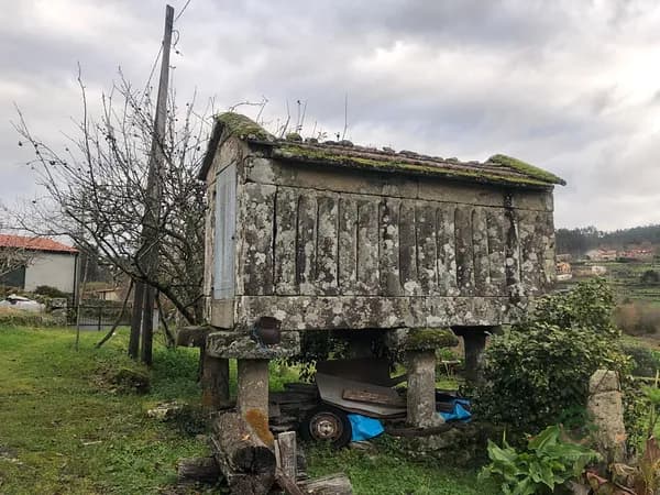 Finca rústica de 0,8 ha en venta en Pontevedra, Pontevedra