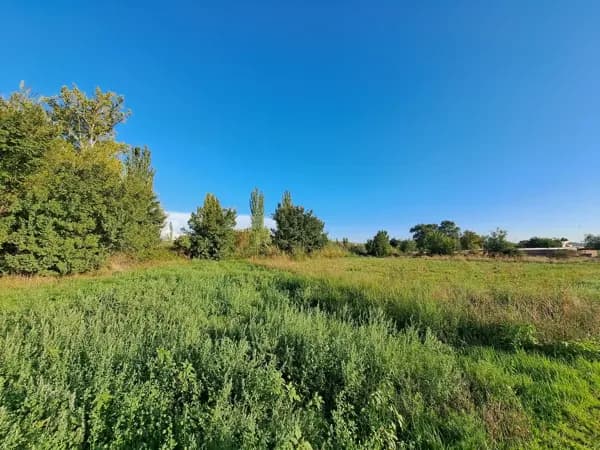 Finca rústica de 2 ha en alquiler en Madrid