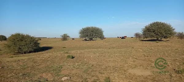 Finca rústica de 2500 ha en venta en Buenos aires