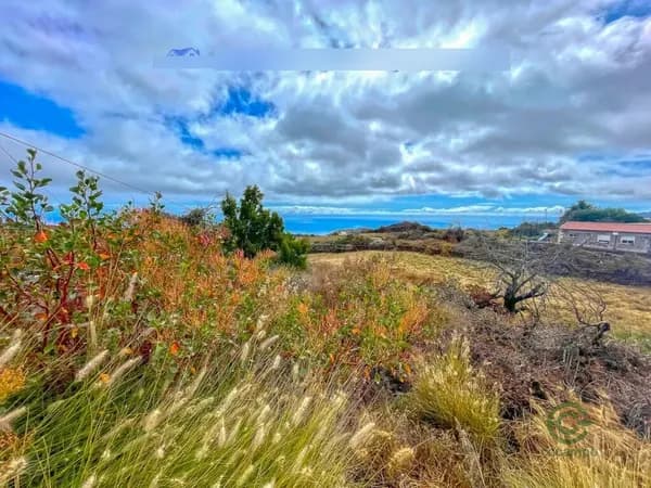 Finca rústica de 0,3668 ha en venta en Paso, el, Santa cruz de tenerife