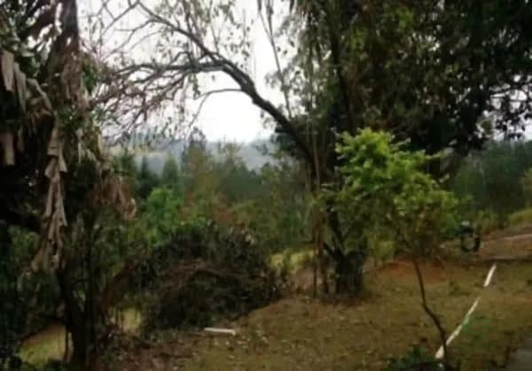 Fazenda rustica de 2,29 ha para venda em São paulo