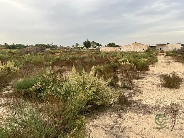 Terreno urbano de 0,98 ha en venta en Elche pedanias, Alicante