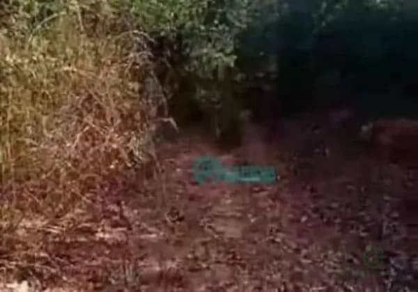 Fazenda de recreação de 1 ha para venda em Minas gerais