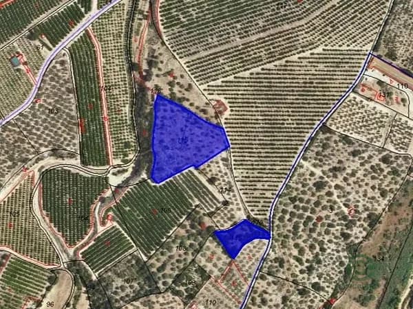 Spot image