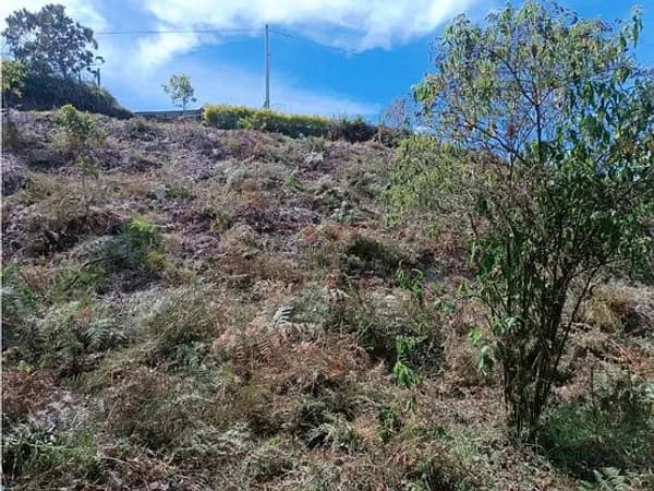 Finca rústica de 0,4582 ha en venta en Antioquia