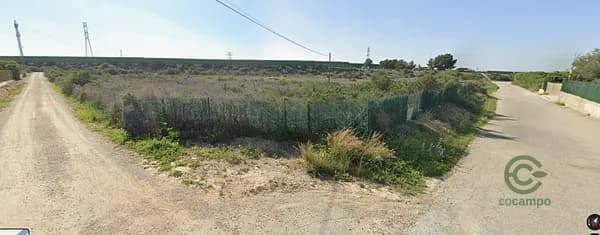 Finca rústica de 1,06 ha en venta en Elche, Alicante