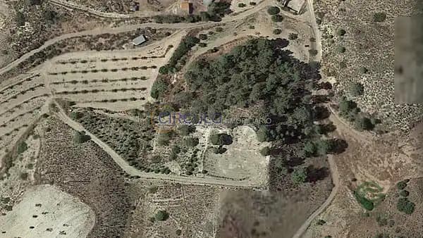 Spot image