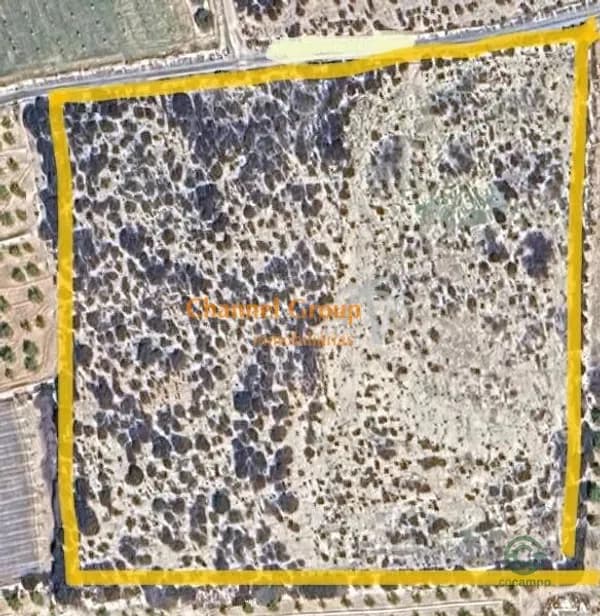 Spot image