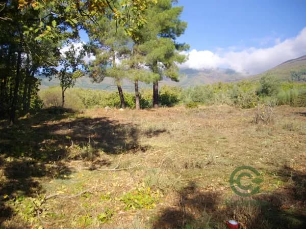 Finca rústica de 1 ha en venta en Ávila