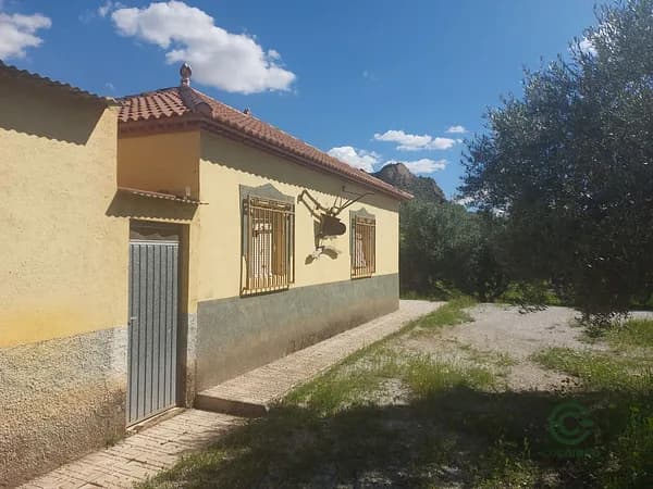 Spot image