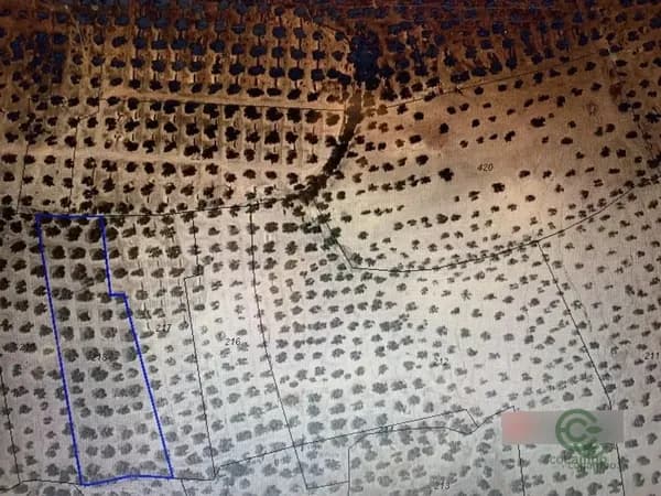 Finca agrícola de 0,6 ha en venta en Martos, Jaen