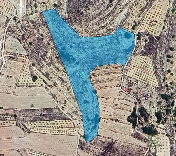 Spot image