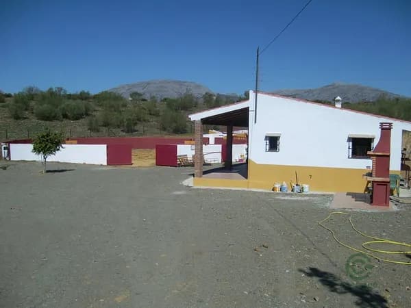 Spot image