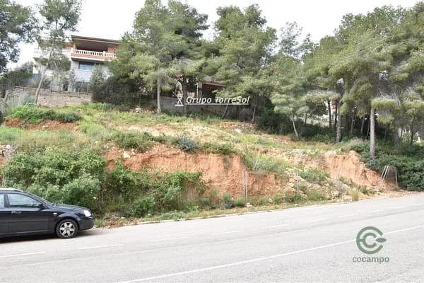 Spot image