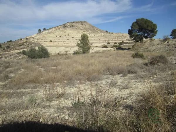 Finca rústica de 7,5 ha en venta en Aspe pedanias, Alicante