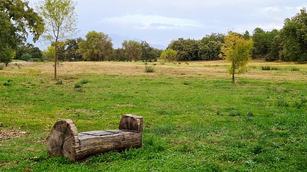 Finca de recreo de 9 ha en venta en Cáceres
