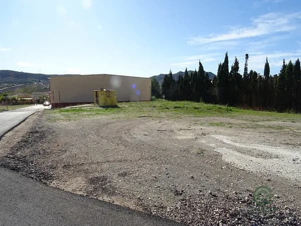 Spot image