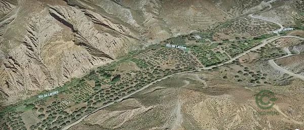 Spot image