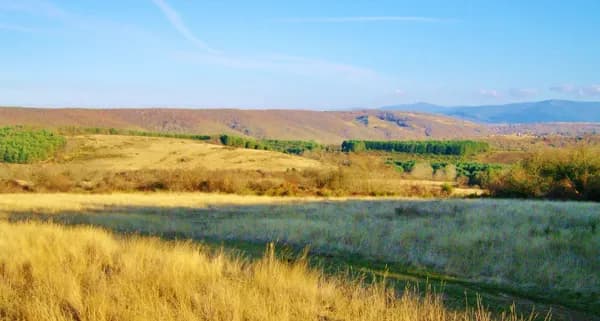 Finca rústica de 100 ha en venta en Burgos