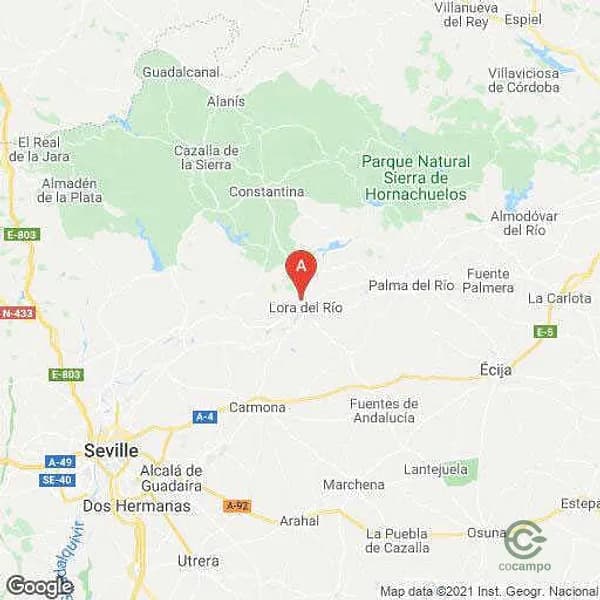 Finca rústica de 7,5 ha en venta en Lora del río, Sevilla