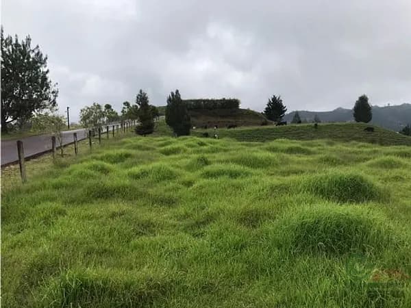 Finca agrícola de 0,4849 ha en venta en Antioquia