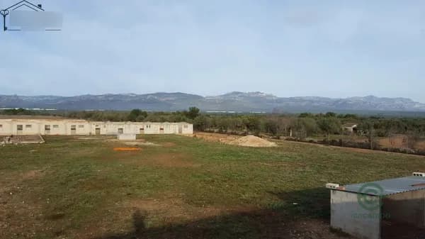 Spot image