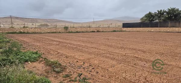 Finca agrícola de 9,65 ha en venta en Las palmas