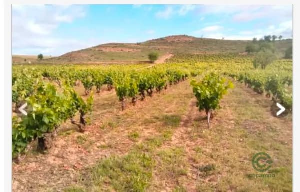 Finca agrícola de 0,467 ha en venta en La rioja