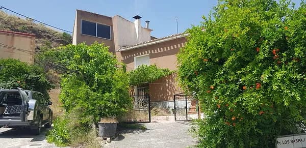 Spot image
