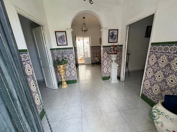 Spot image